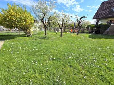 Wohnung mieten in 8053 Graz