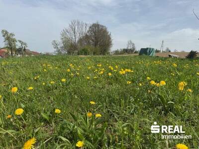 Grundstück kaufen in 4770 Andorf