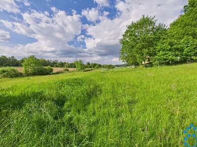 Grundstück kaufen in 8230 Eggendorf (Bild 5)