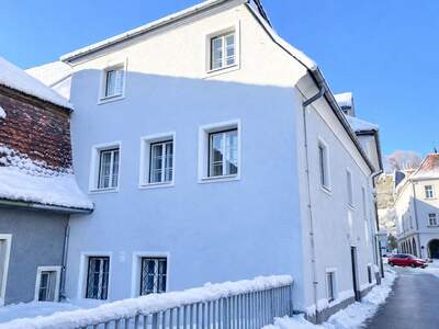 Wohnanlage kaufen in 8600 Bruck an der Mur (Bild 1)