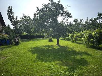 Grundstück kaufen in 2630 Ternitz