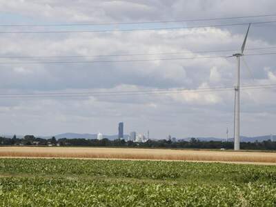 Einfamilienhaus kaufen in 1220 Wien (Bild 2)