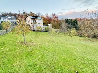 Grundstück kaufen in 4221 Steyregg (Bild 2)