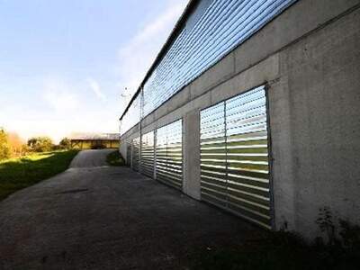 Immobilie mieten in 4076 Sankt Marienkirchen (Bild 4)