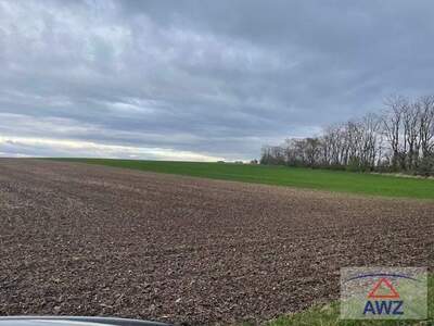 Grundstück kaufen in 2020 Hollabrunn