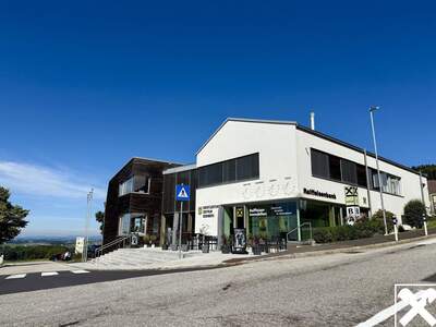 Gewerbeobjekt mieten in 4201 Eidenberg (Bild 1)