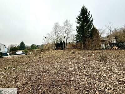 Grundstück kaufen in 2534 Alland (Bild 5)