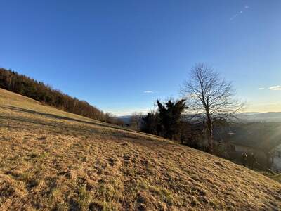 Grundstück kaufen in 8441 Höch (Bild 4)