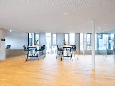 Gewerbeobjekt mieten in 6850 Dornbirn