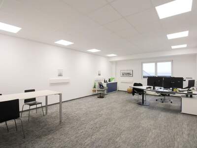 Gewerbeobjekt mieten in 4844 Regau (Bild 1)