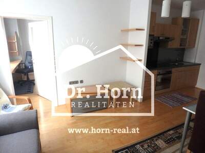 Apartment provisionsfrei mieten in 8010 Steiermark