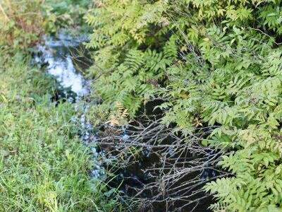 Grundstück kaufen in 5421 Adnet (Bild 3)