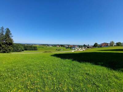 Grundstück kaufen in 5242 Sankt Johann