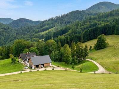 Gewerbeobjekt kaufen in 3341 Yppsitz