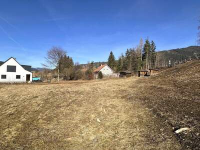 Grundstück kaufen in 8761 Pöls