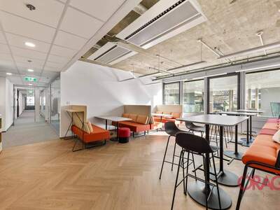 Gewerbeobjekt mieten in 1220 Wien