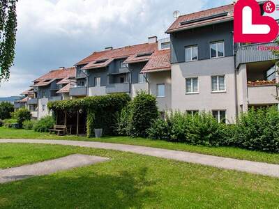 Wohnung mieten in 4560 Kirchdorf (Bild 4)