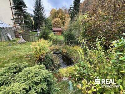 Haus kaufen in 4202 Kirchschlag (Bild 4)