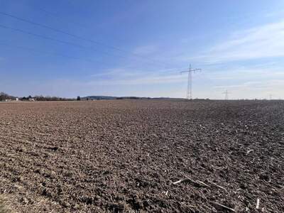 Grundstück kaufen in 4975 Suben