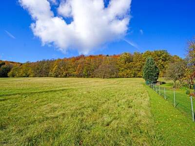 Grundstück kaufen in 3021 Pressbaum (Bild 2)