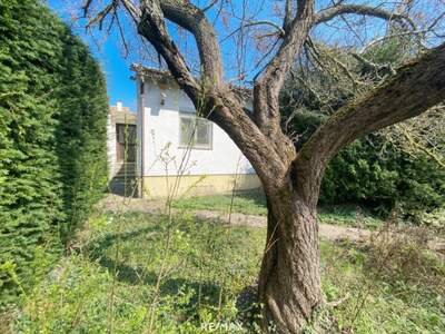 Haus kaufen in 1220 Wien