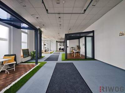 Einzelhandel mieten in 2351 Wr. Neudorf (Bild 3)