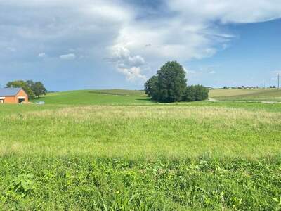 Grundstück kaufen in 4751 Dorf