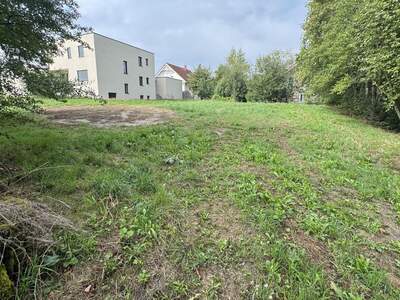 Grundstück kaufen in 4064 Kirchstetten (Bild 3)
