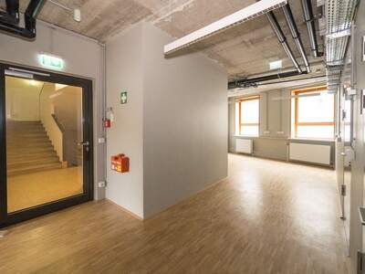 Gewerbeobjekt mieten in 1070 Wien (Bild 3)