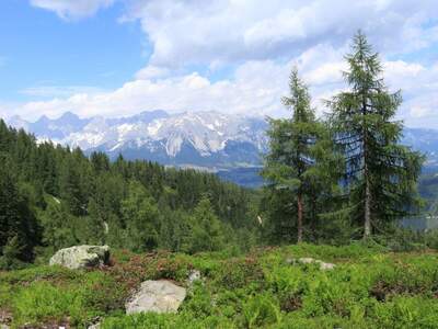 Wohnung kaufen in 8970 Schladming (Bild 3)