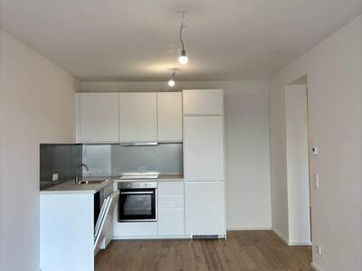 Wohnung mieten in 1190 Wien (Bild 1)