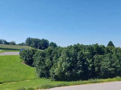 Einfamilienhaus kaufen in 4323 Münzbach (Bild 5)