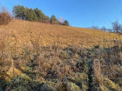 Grundstück kaufen in 2630 Pottschach