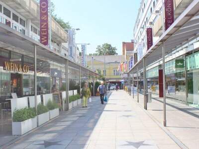 Gewerbeobjekt mieten in 1130 Wien (Bild 1)