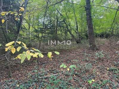 Grundstück kaufen in 3021 Pressbaum