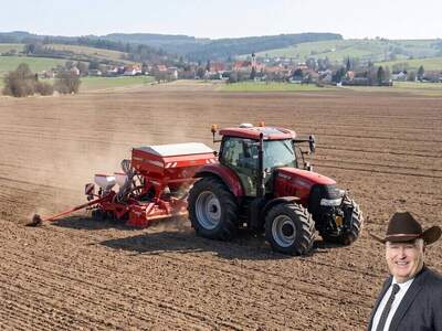 Gewerbeobjekt kaufen in 2122 Münichsthal