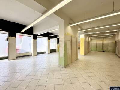 Gewerbeobjekt mieten in 1080 Wien (Bild 4)