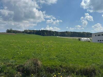 Grundstück kaufen in 5143 Feldkirchen (Bild 5)
