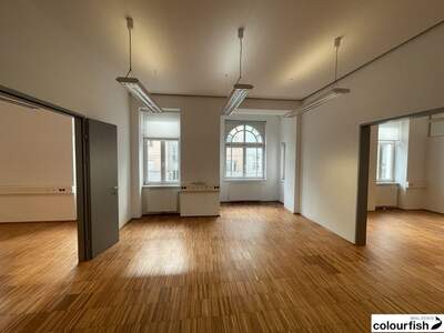 Gewerbeobjekt mieten in 1190 Wien (Bild 4)