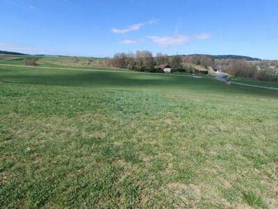 Grundstück kaufen in 4851 Gampern