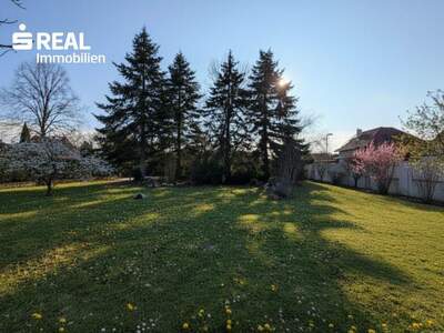 Grundstück kaufen in 7201 Neudörfl (Bild 1)