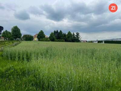 Grundstück kaufen in 4061 Pasching