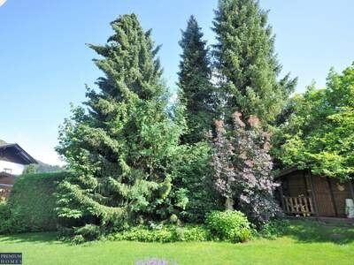 Wohnung mit Balkon mieten in 6300 Wörgl (Bild 5)