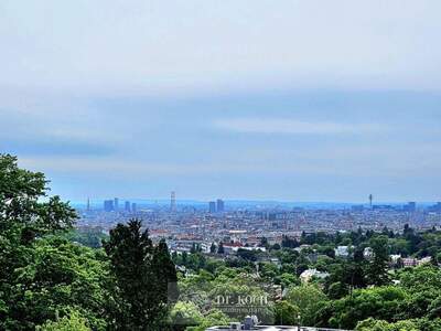 Haus kaufen in 1170 Wien