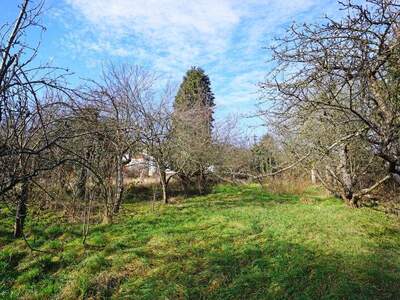 Grundstück kaufen in 3001 Mauerbach (Bild 5)