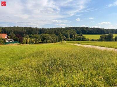 Grundstück kaufen in 8045 Graz (Bild 2)