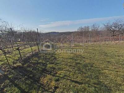 Haus kaufen in 7561 Heiligenkreuz (Bild 4)