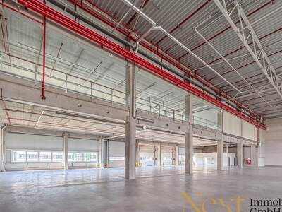 Gewerbeobjekt mieten in 4470 Enns (Bild 5)