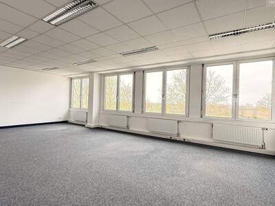 Gewerbeobjekt mieten in 2320 Schwechat (Bild 3)