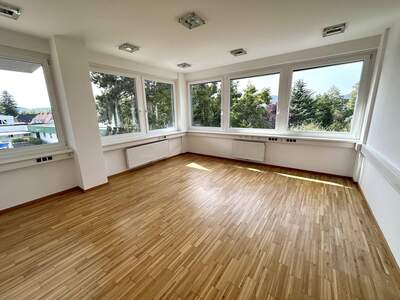 Gewerbeobjekt mieten in 8045 Graz (Bild 1)